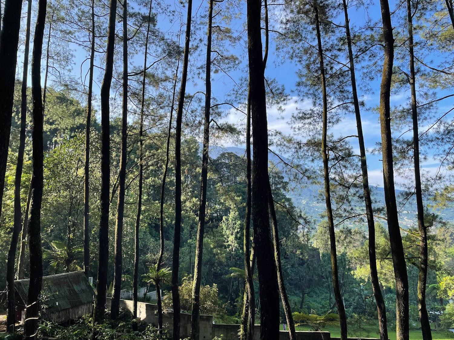 Cover Image for Family Camp Bukit Madu