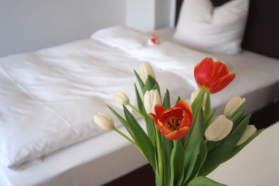 Cover Image for SEEGER Living Comfort Downtown - Serviced Apartments