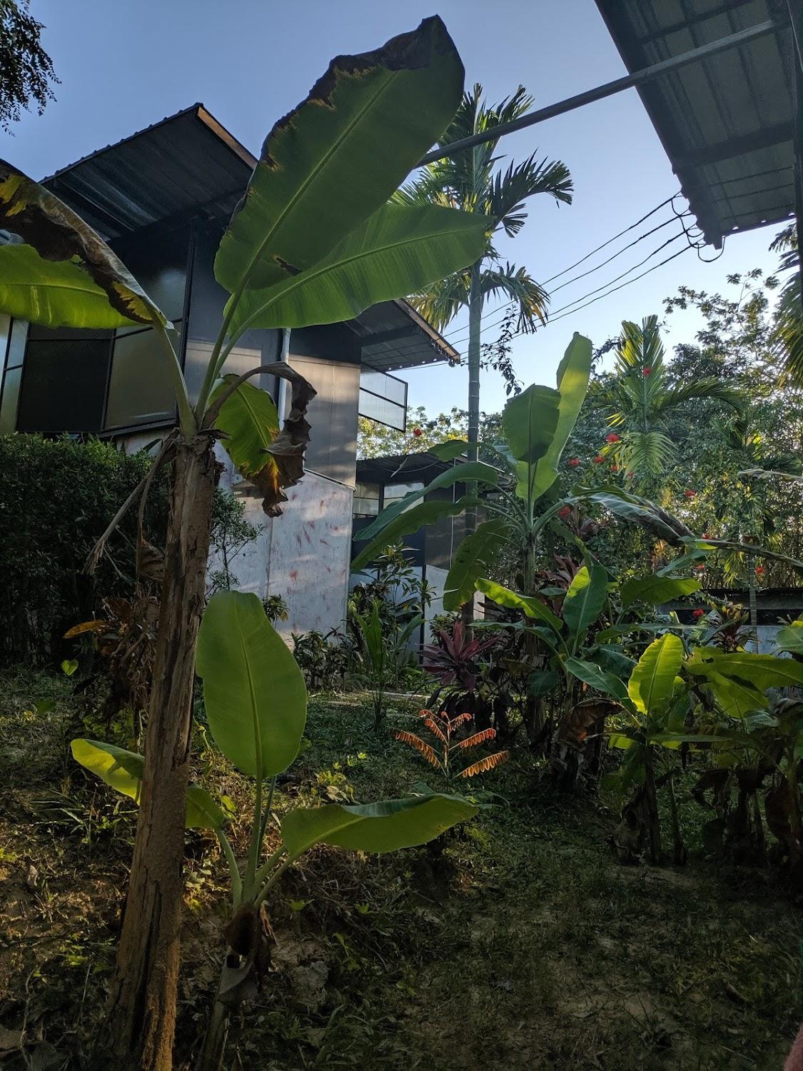 Cover Image for Himmapan Resort