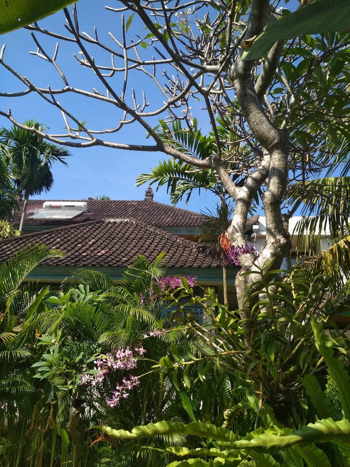 Cover Image for BNB Sanur