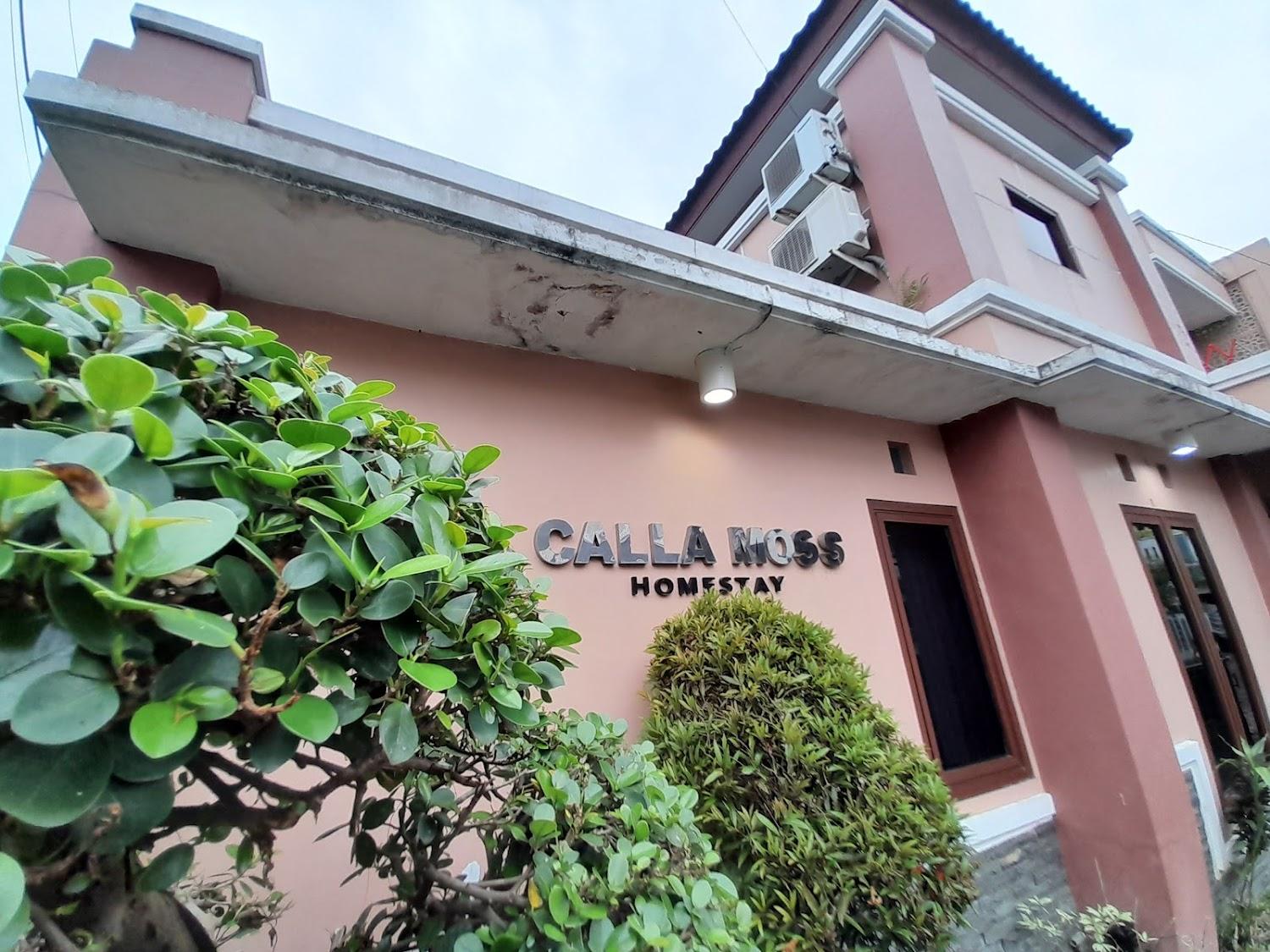 Cover Image for Callamoss Homestay Jogja