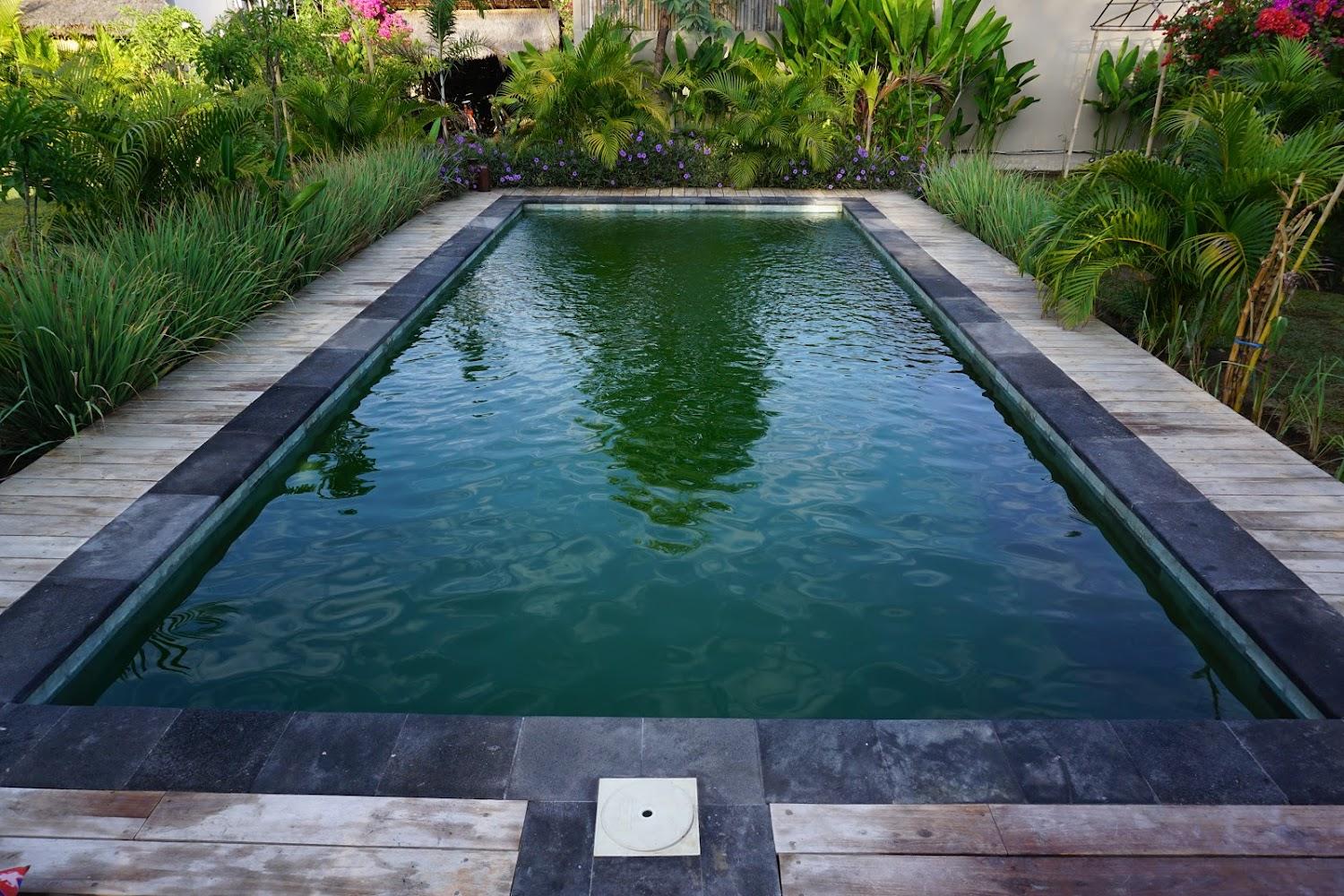 Cover Image for Manusia Dunia Green Lodge