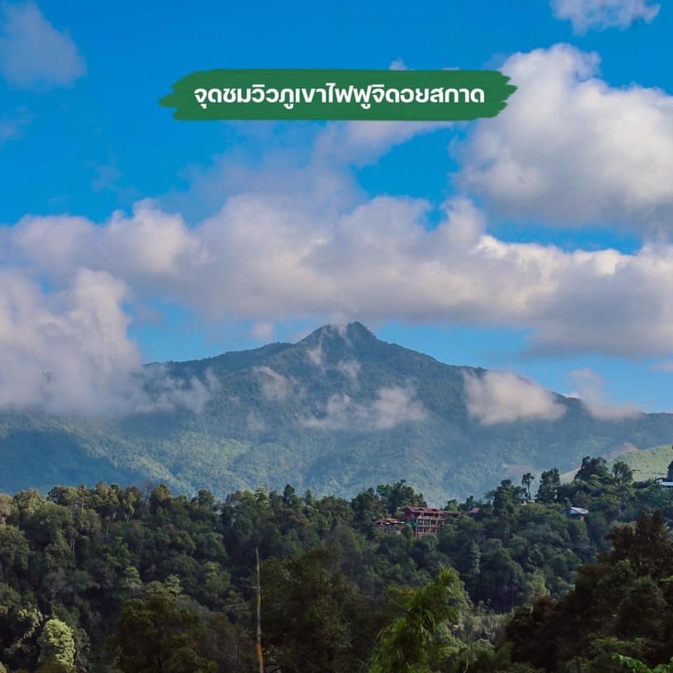 Cover Image for บ้านต้นไฮ ดอยสกาด