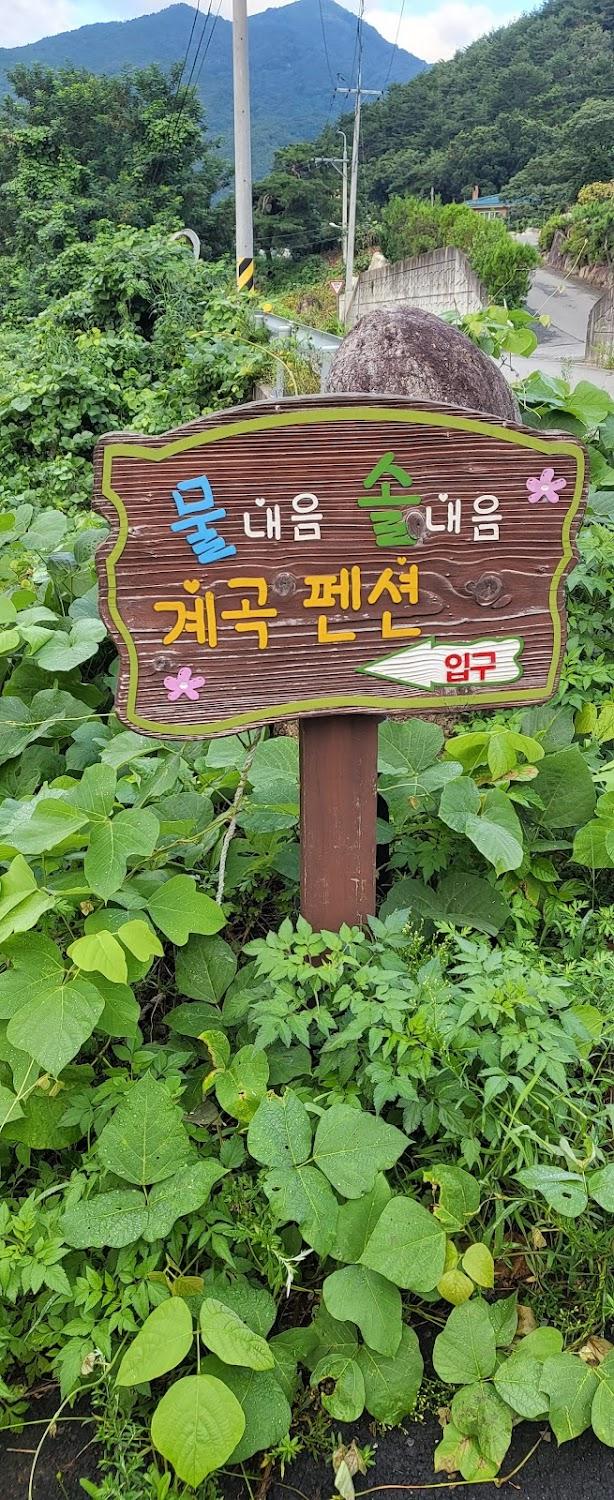 Cover Image for 물내음 솔내음 계곡펜션