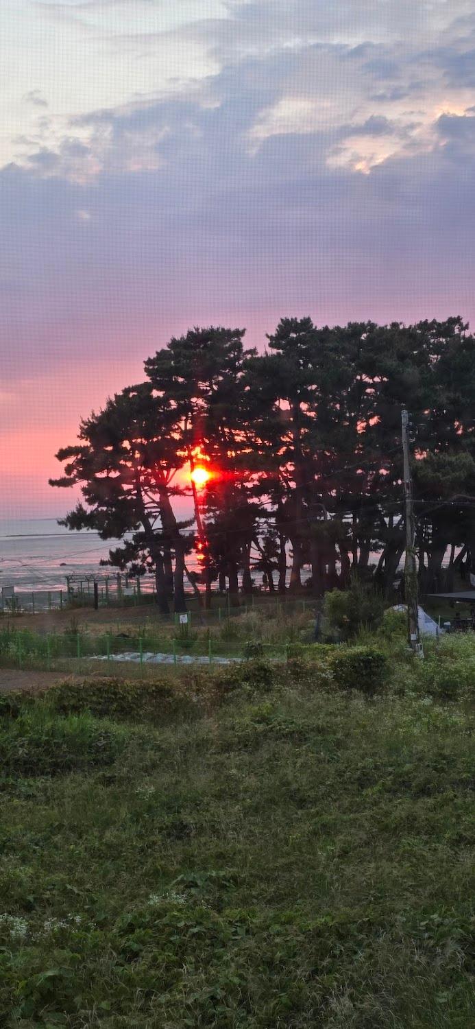 Cover Image for 씨사이드