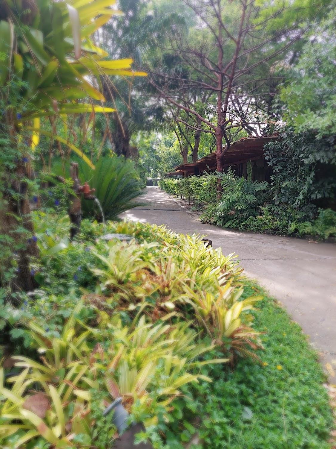 Cover Image for Country Lakeview Hotel Suphanburi