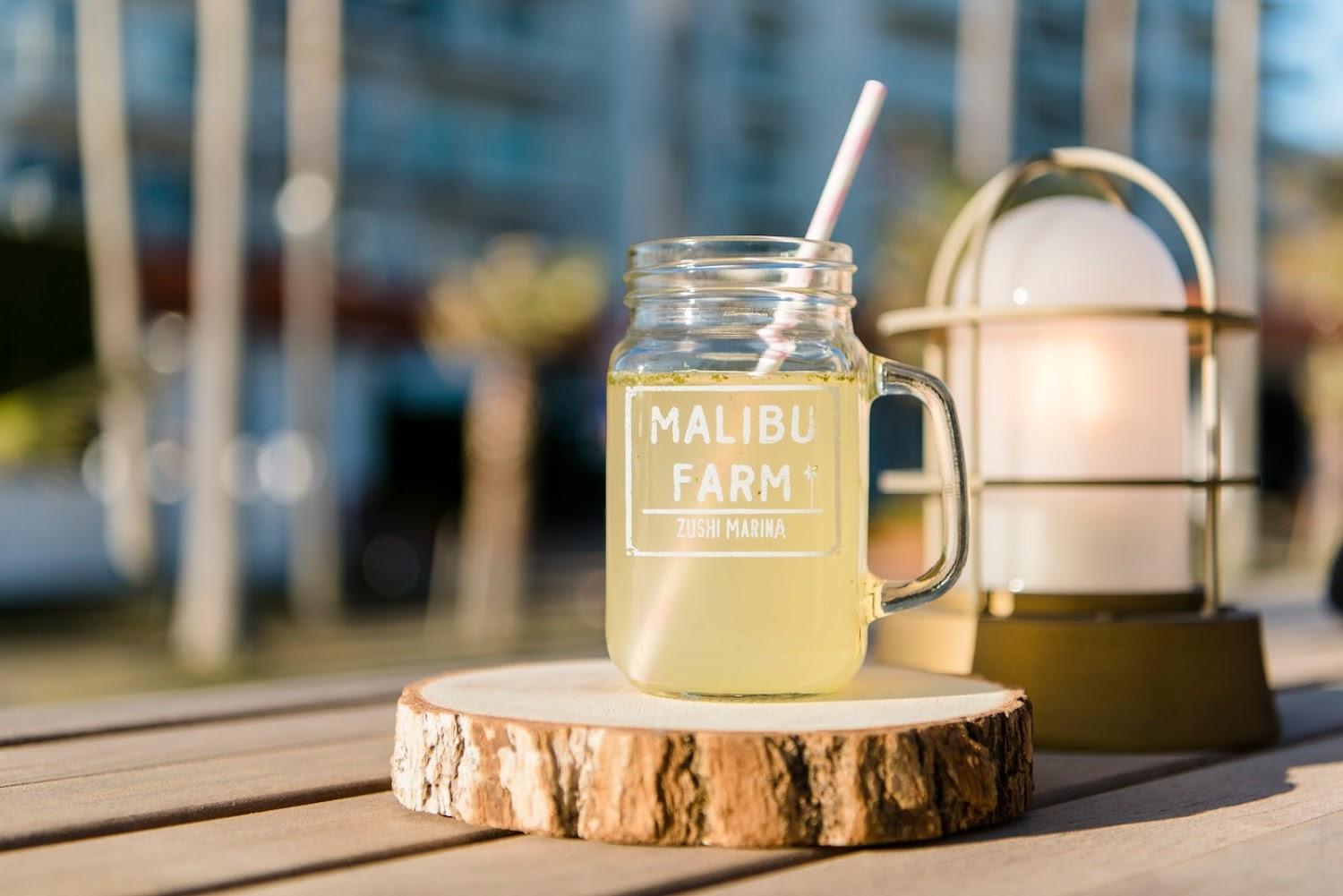Cover Image for MALIBU HOTEL