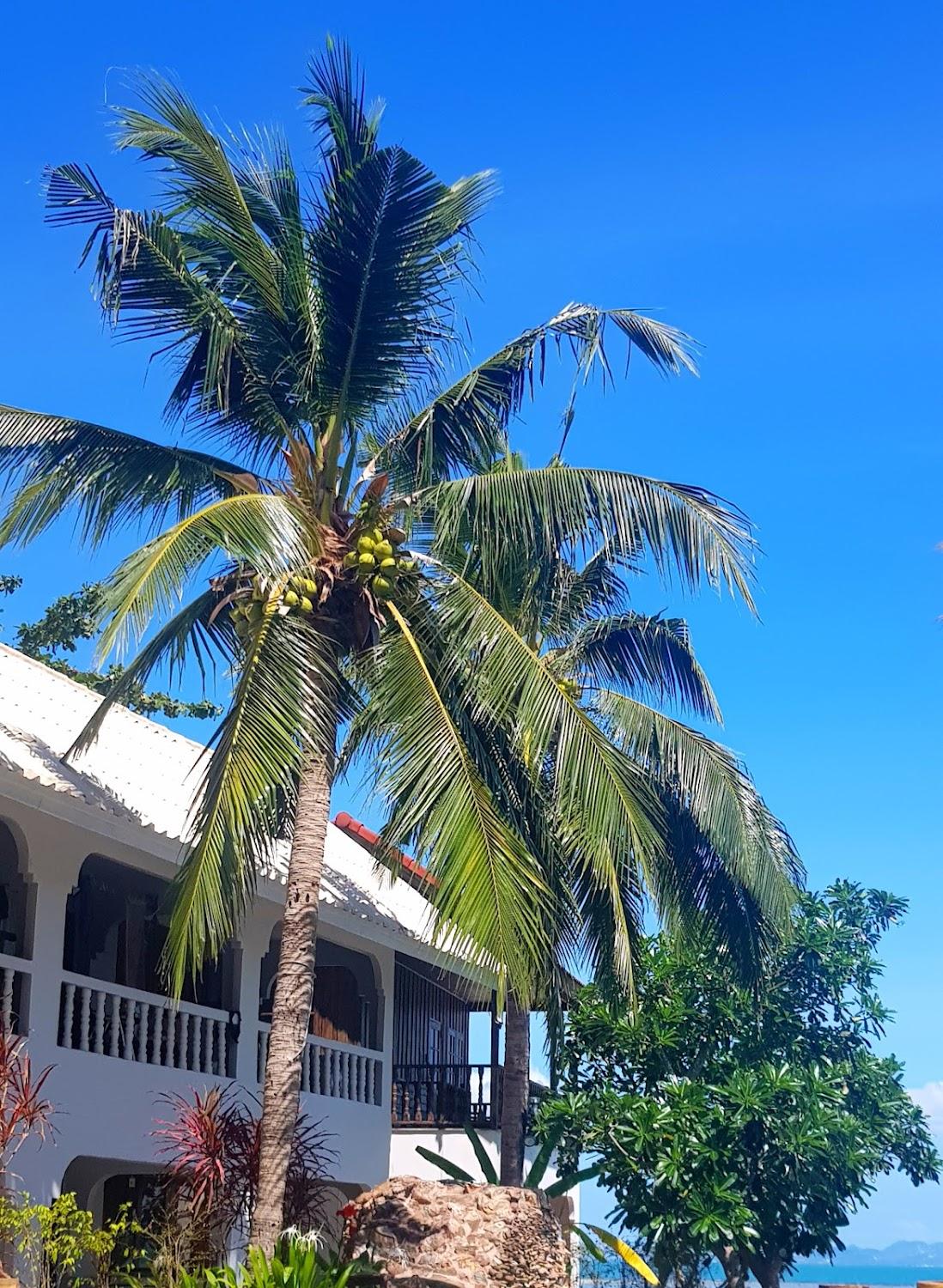 Cover Image for ISLAND LIFE BUNGALOWS