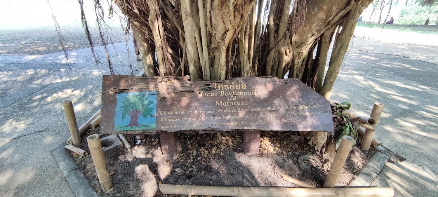 Cover Image for บ้านพักอุทยานแห่งชาติแก่งกระจาน Kaeng Krachan House