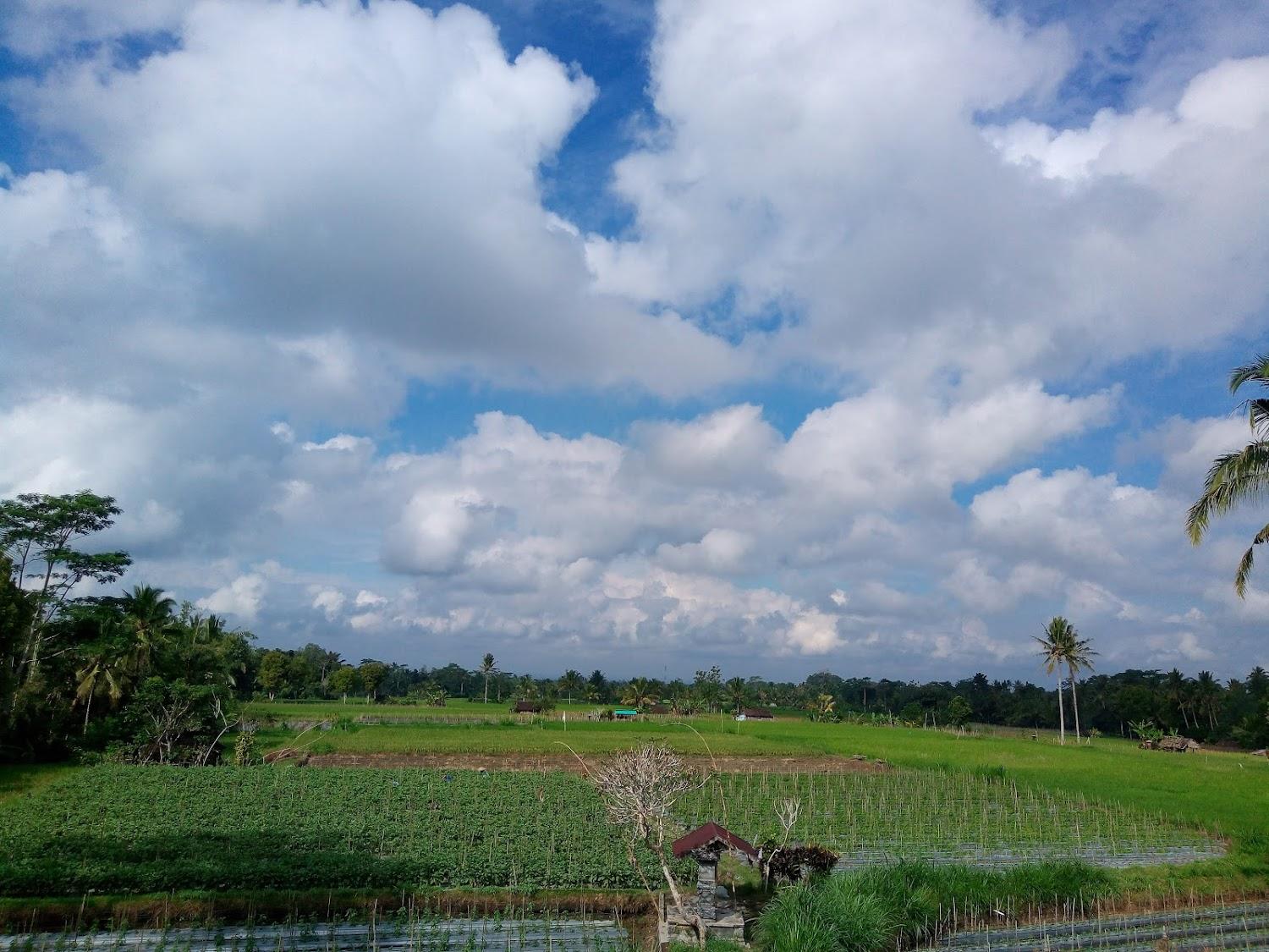 Cover Image for Pondok Bali Raden Kawan Home Stay