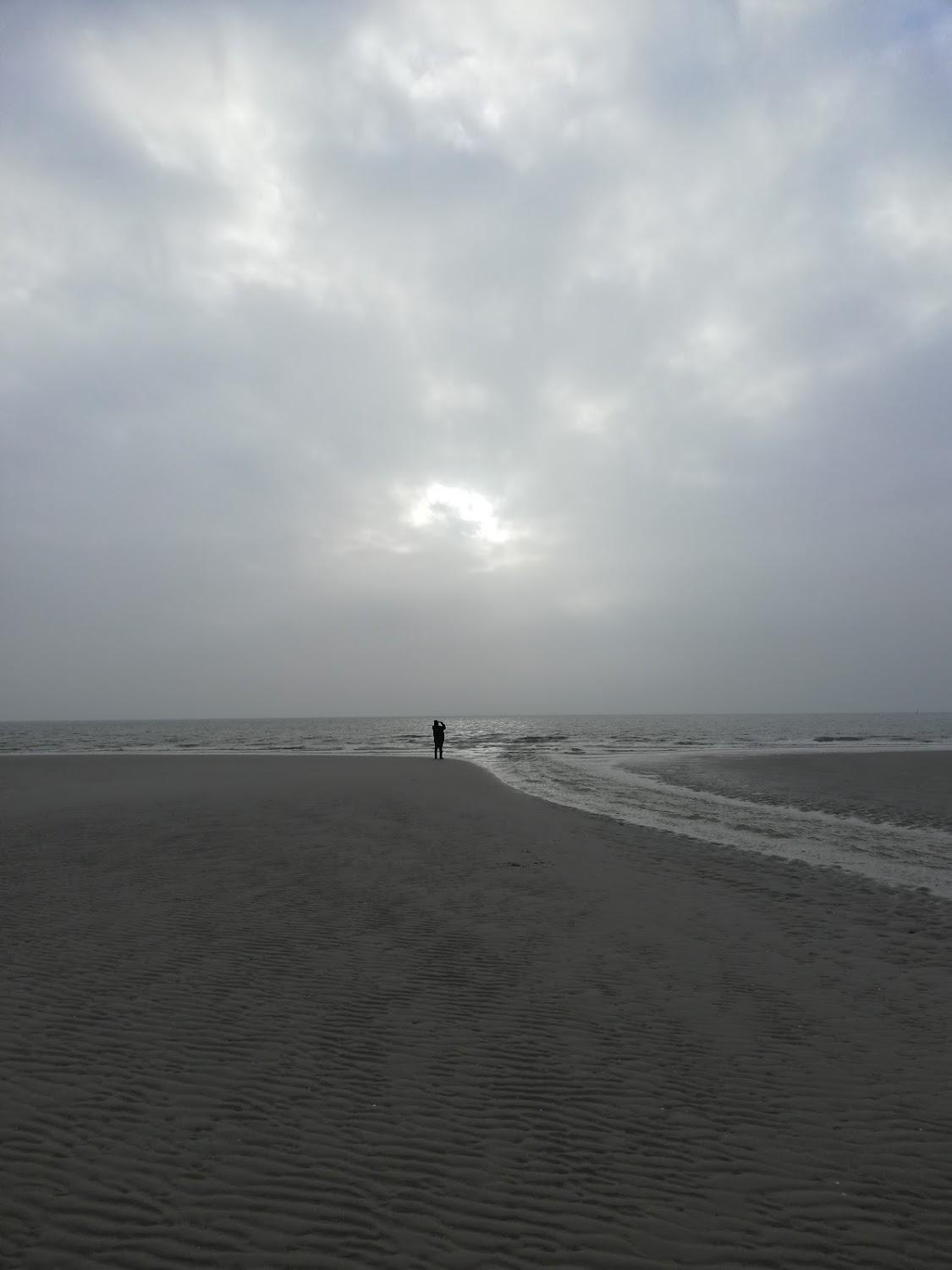Cover Image for Amrumer Welle
