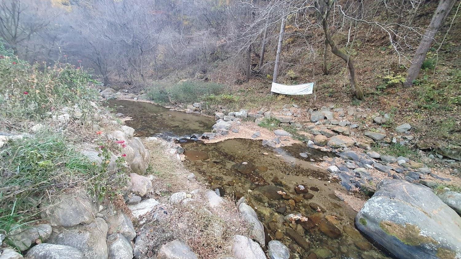 Cover Image for Pension clear mountain water