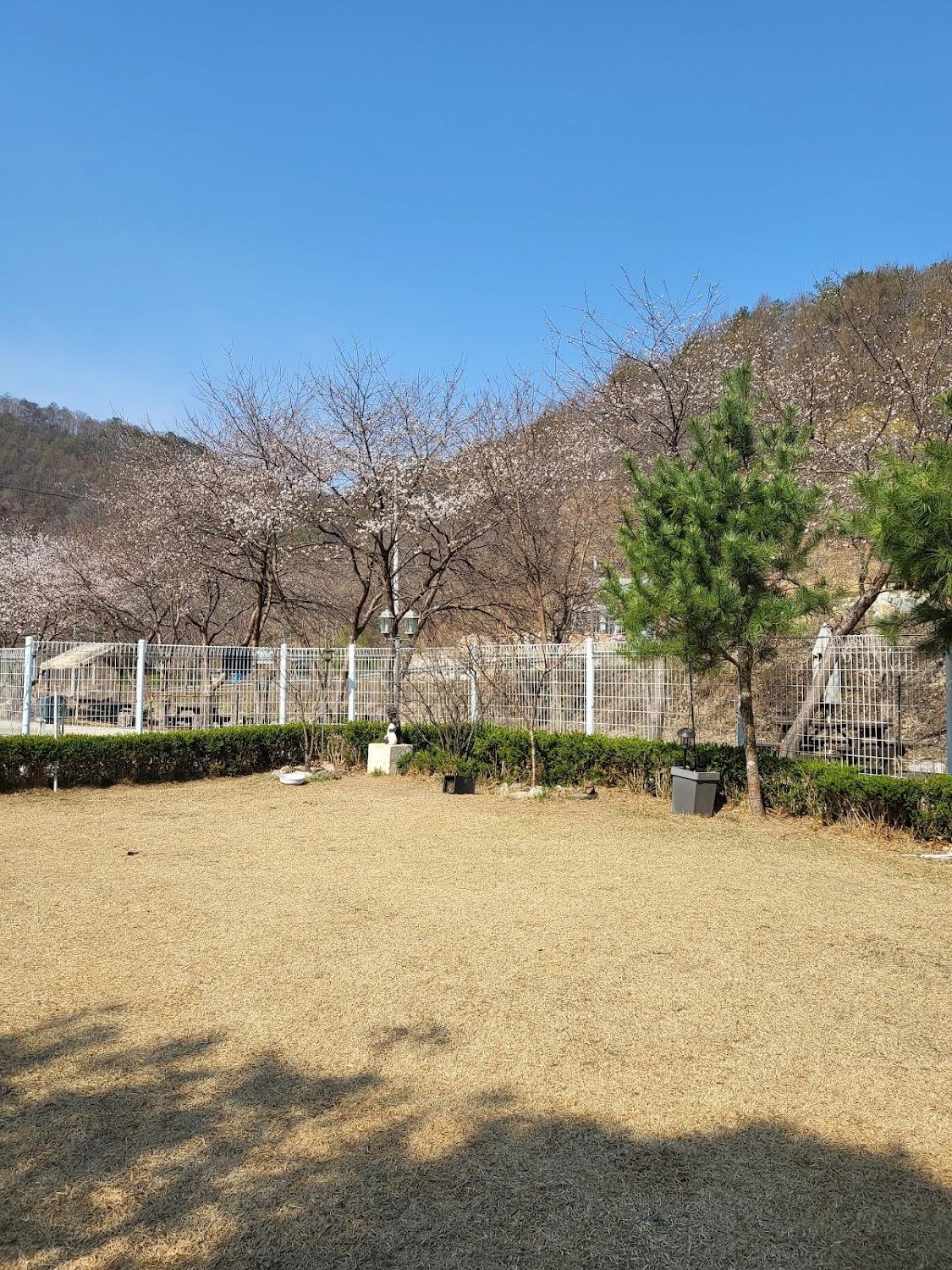 Cover Image for 홍천 나무펜션