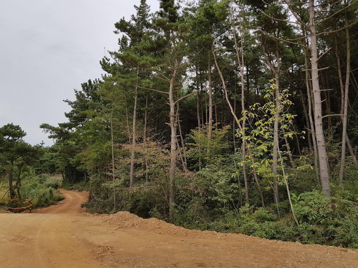 Cover Image for 바다속으로펜션