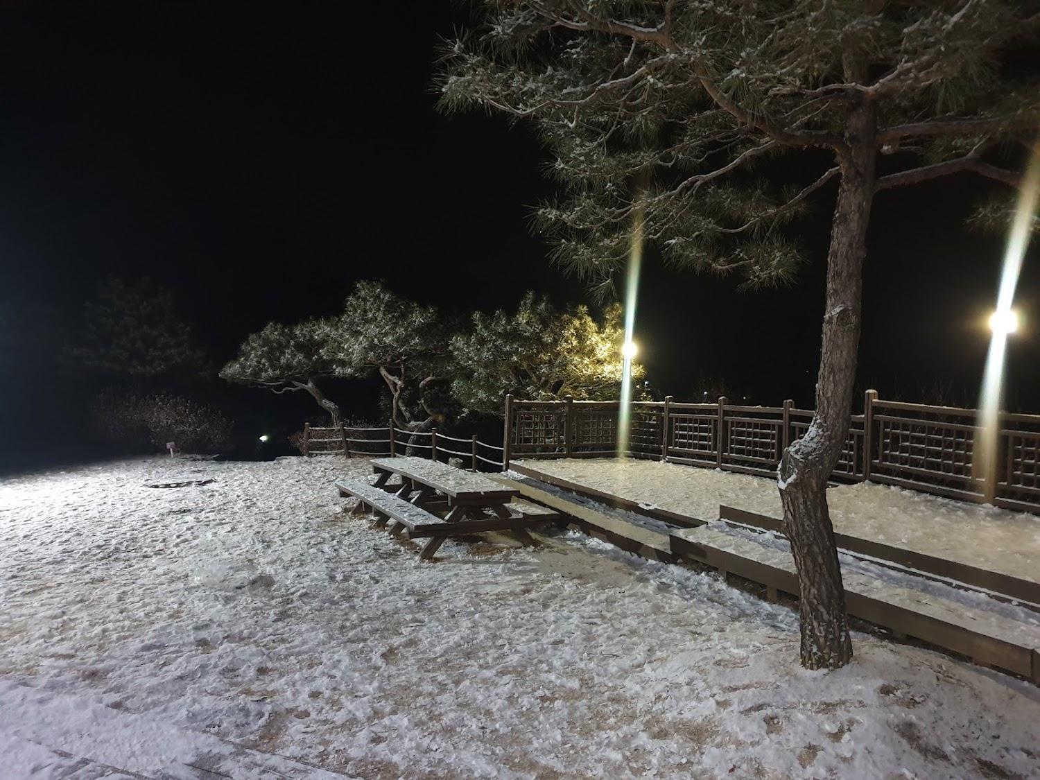 Cover Image for 솔향기펜션(구 용문산야생화마을펜션)