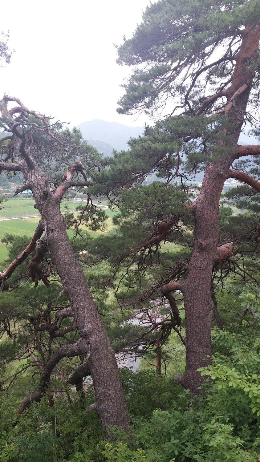 Cover Image for 필모텔