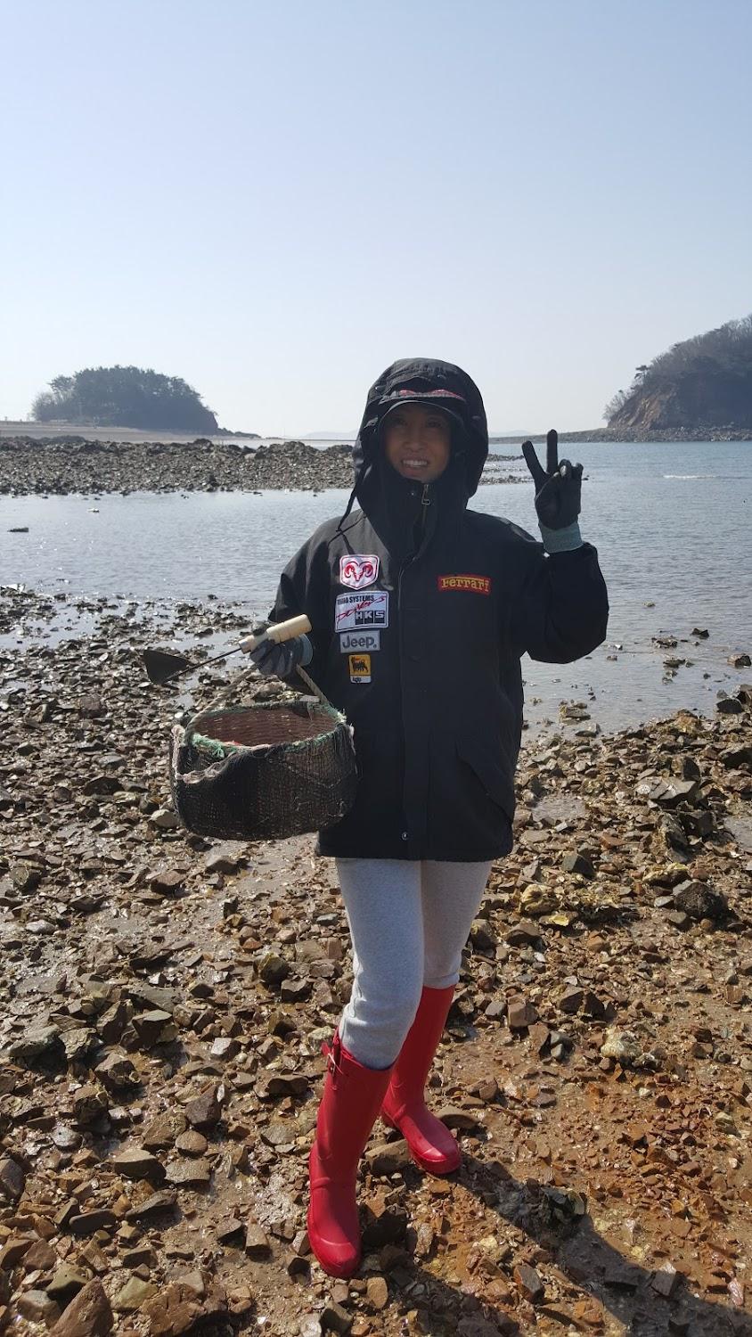 Cover Image for 샛별이야기