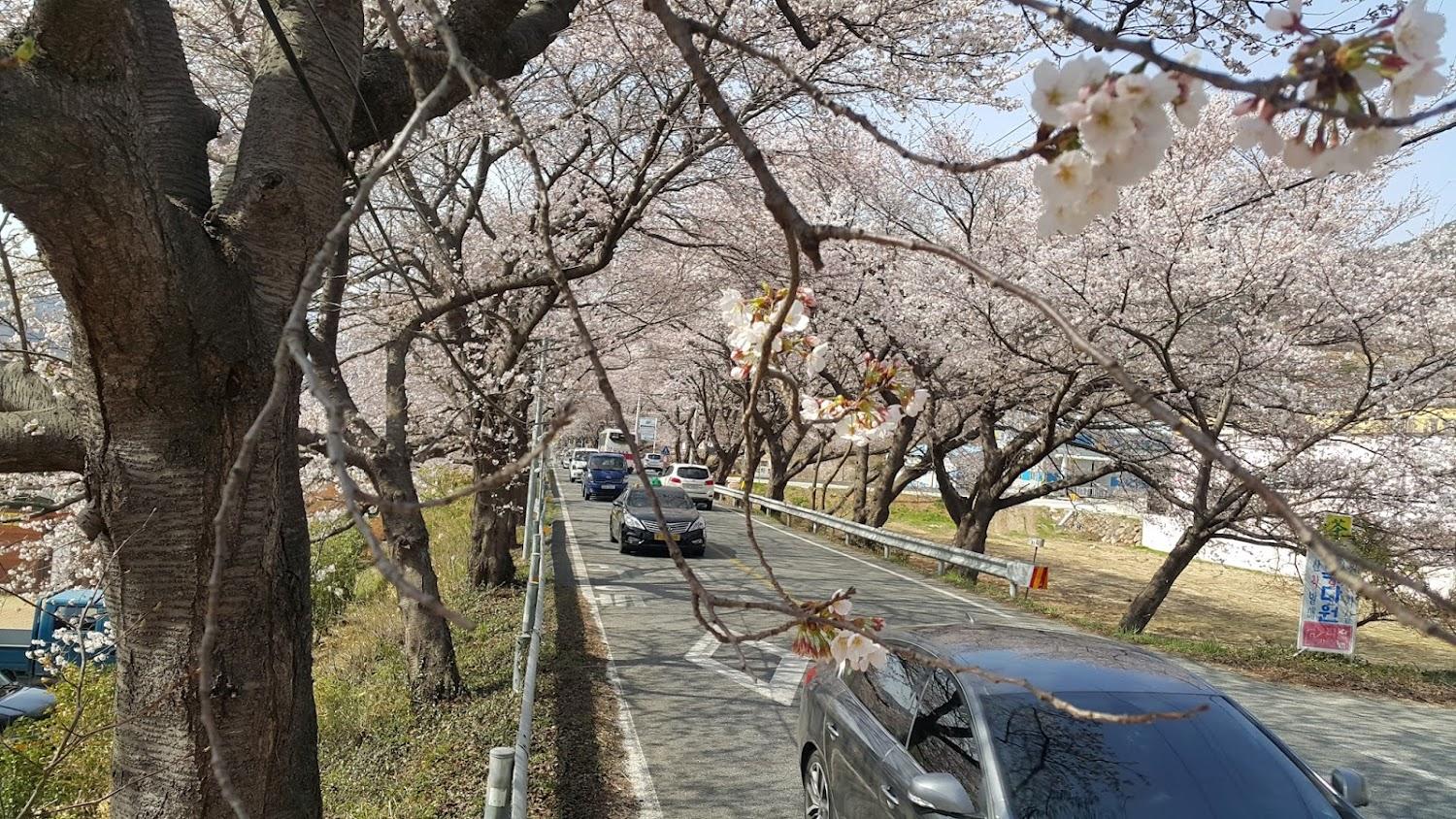 Cover Image for 에덴모텔