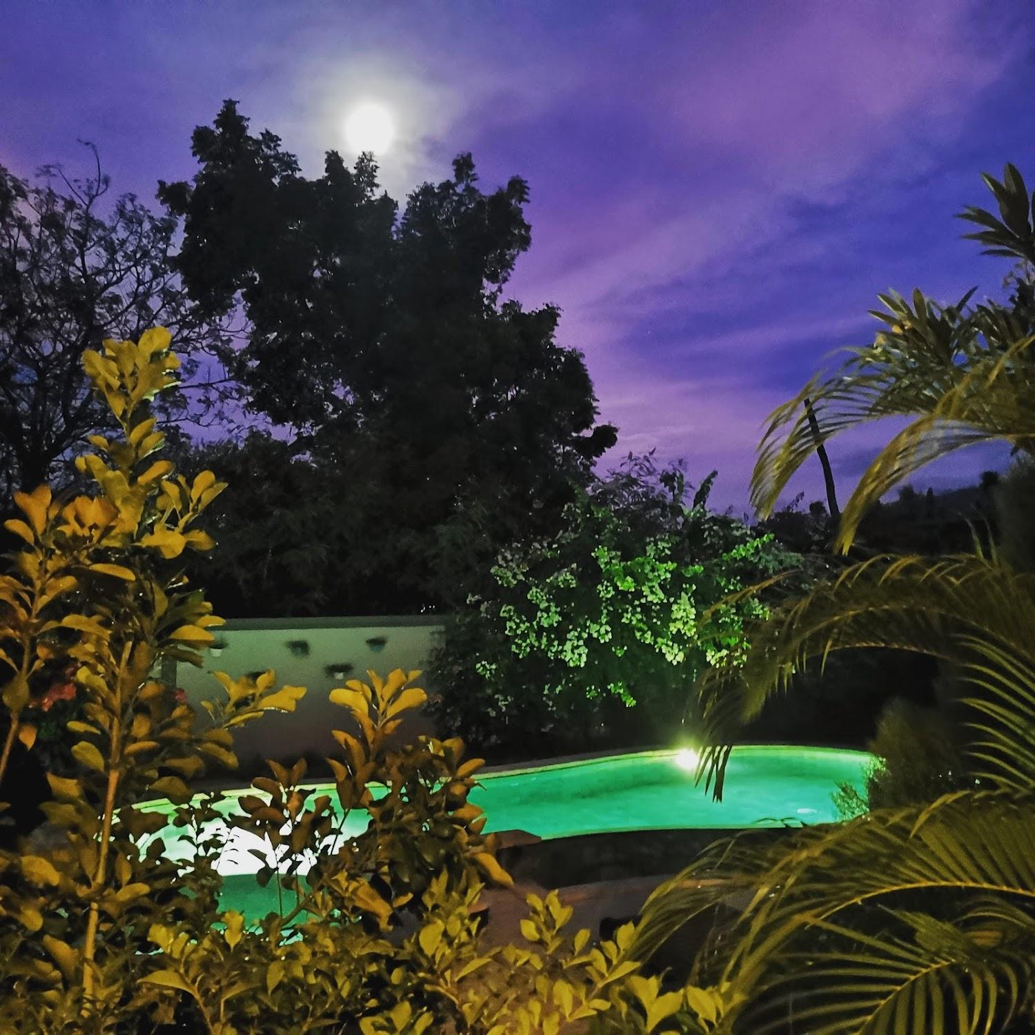 Cover Image for Rose Valley Villa