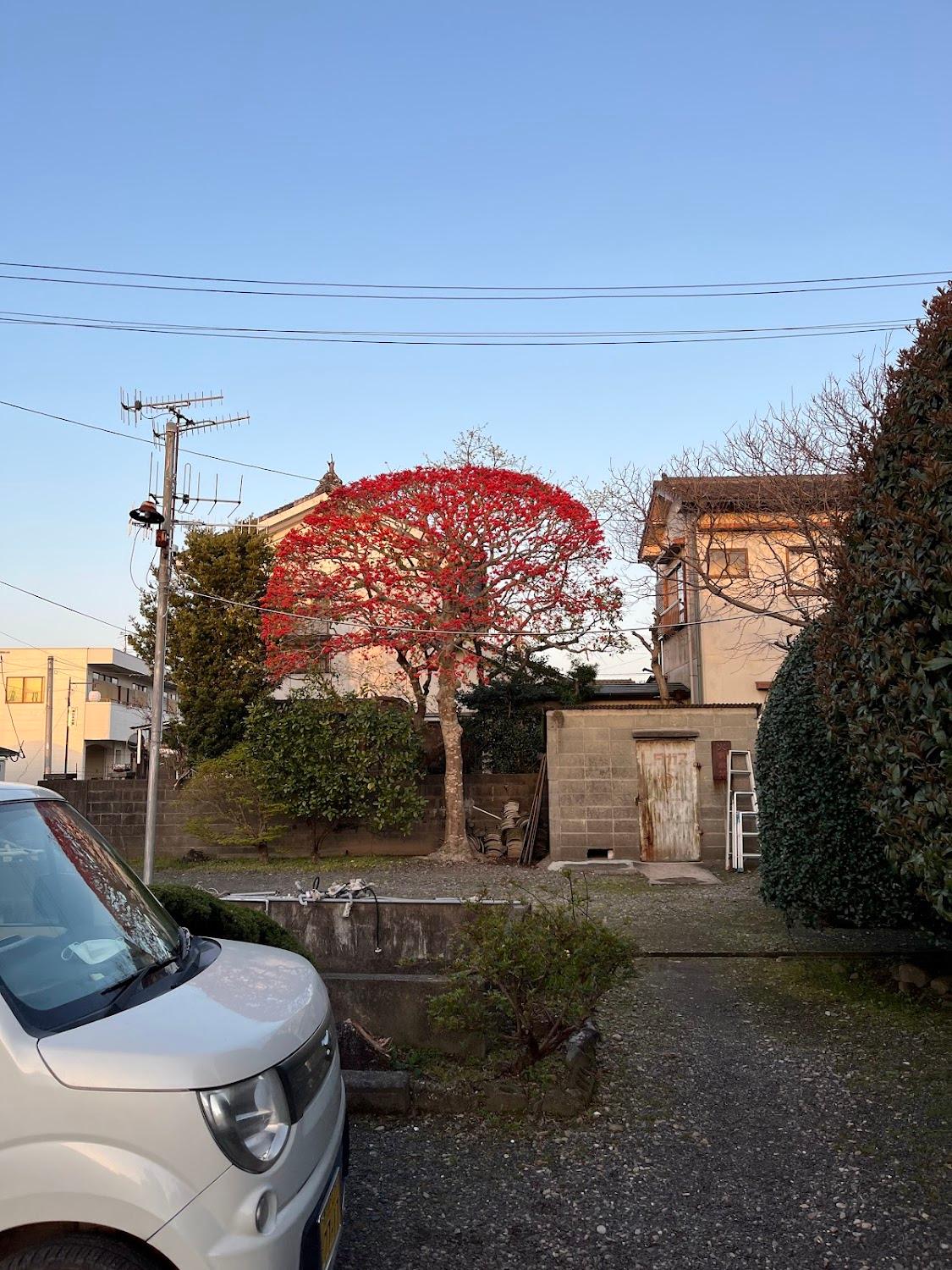 Cover Image for Shizuka Inn
