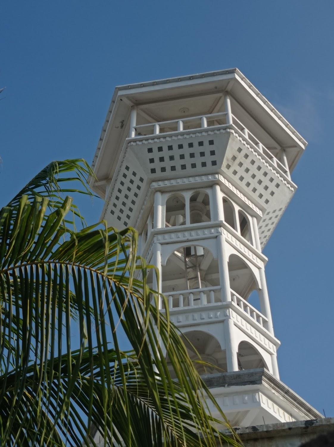Cover Image for Green Banana