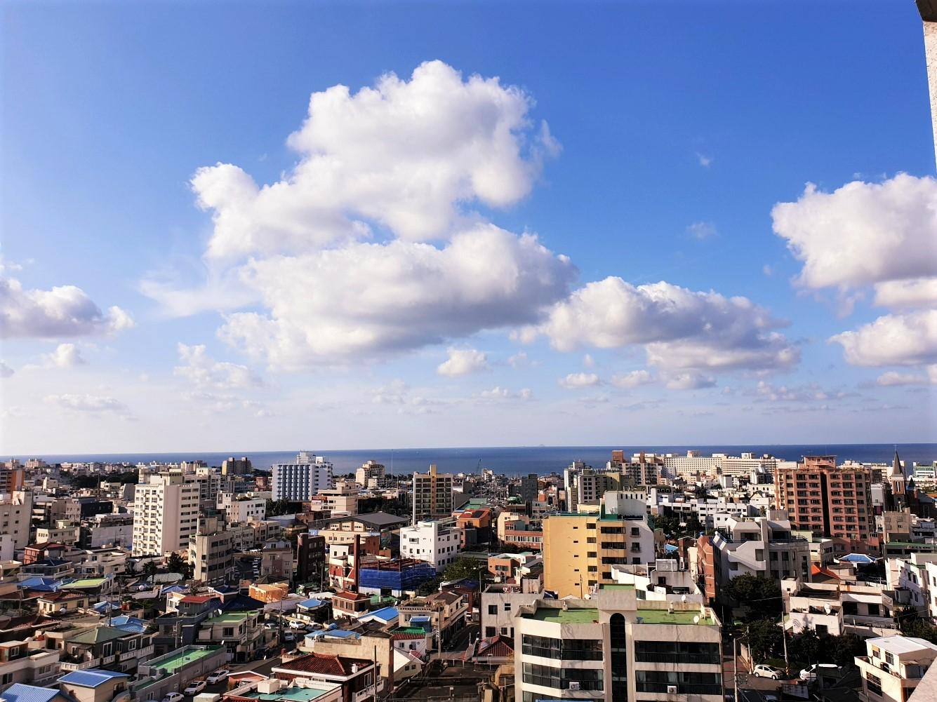 Cover Image for 아라팰리스 호텔 Ara Palace Hotel