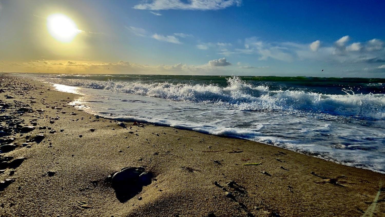 Cover Image for Belt-Camping-Fehmarn