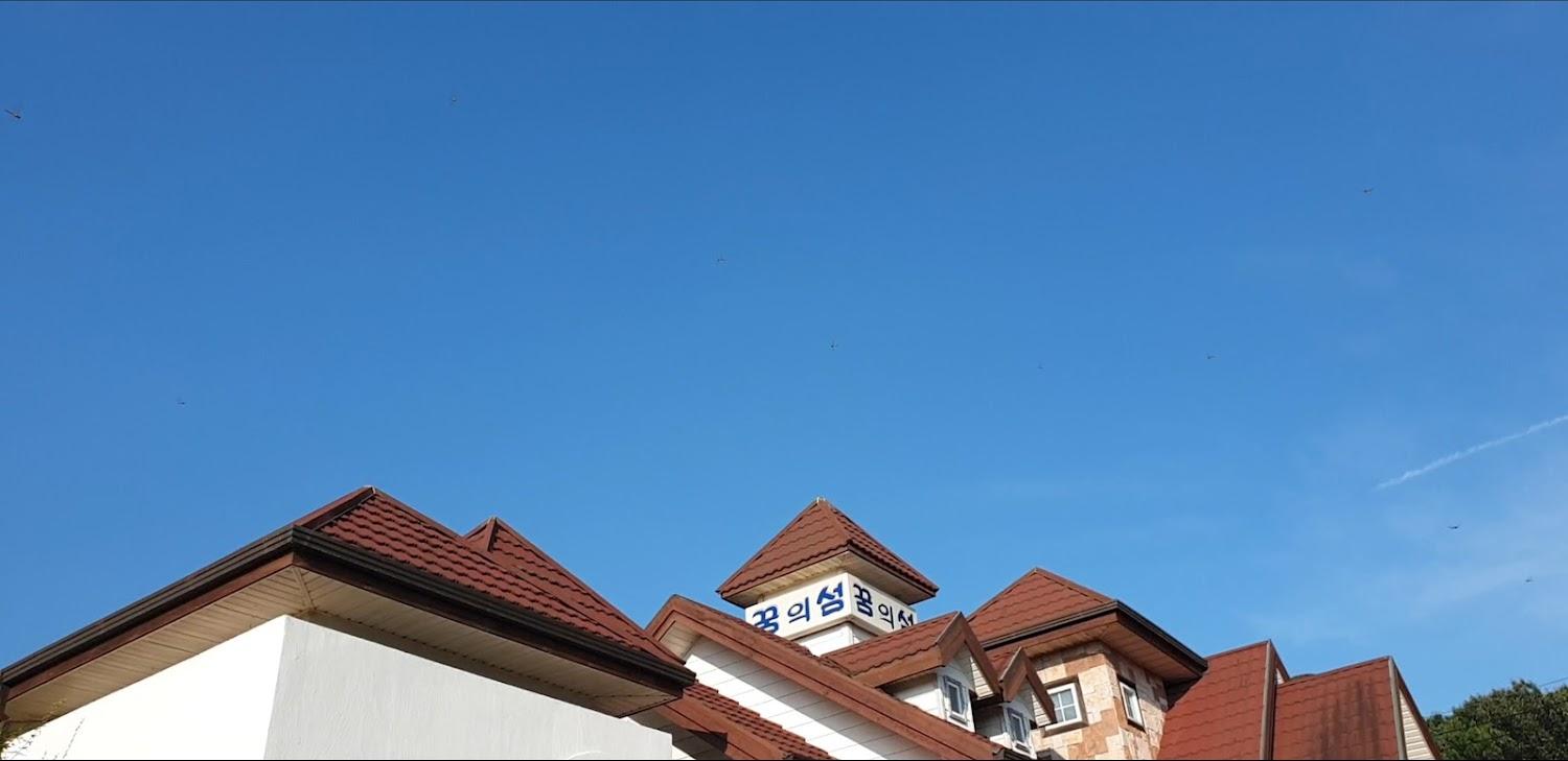 Cover Image for Kkum-Uiseom