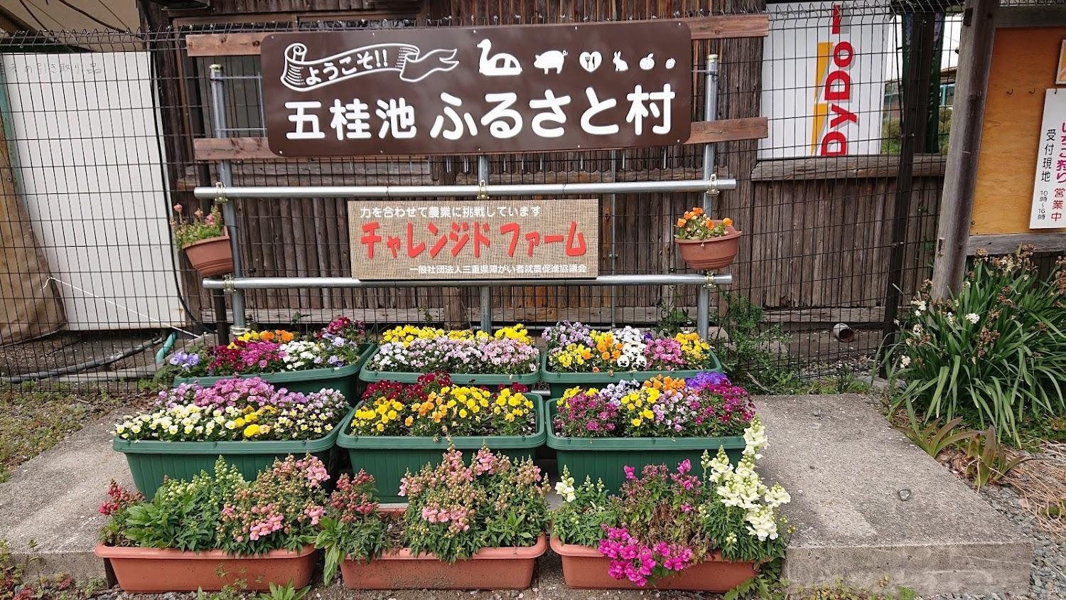 Cover Image for Gokatsura Pond Furusato Village
