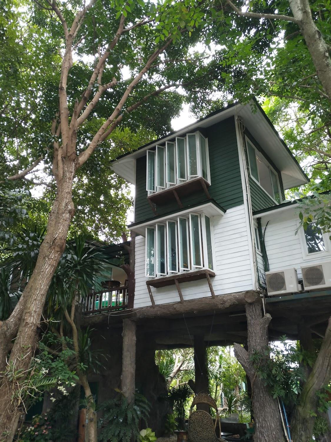Cover Image for Baan Zaka