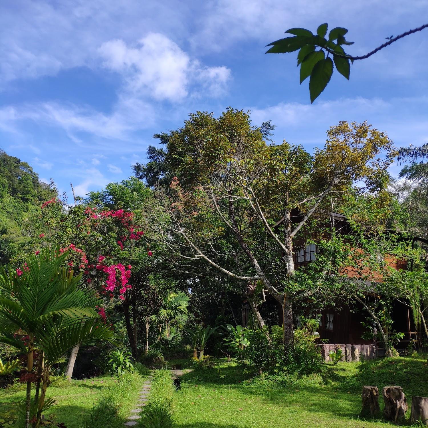 Cover Image for Canyon Jungle Stay