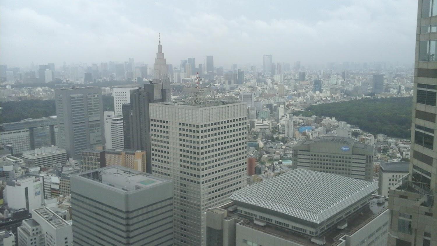 Cover Image for Tokyo Plaza Hotel, Shinjuku