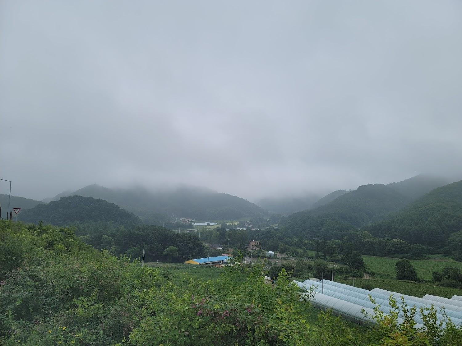Cover Image for Birds of morning Taegisan