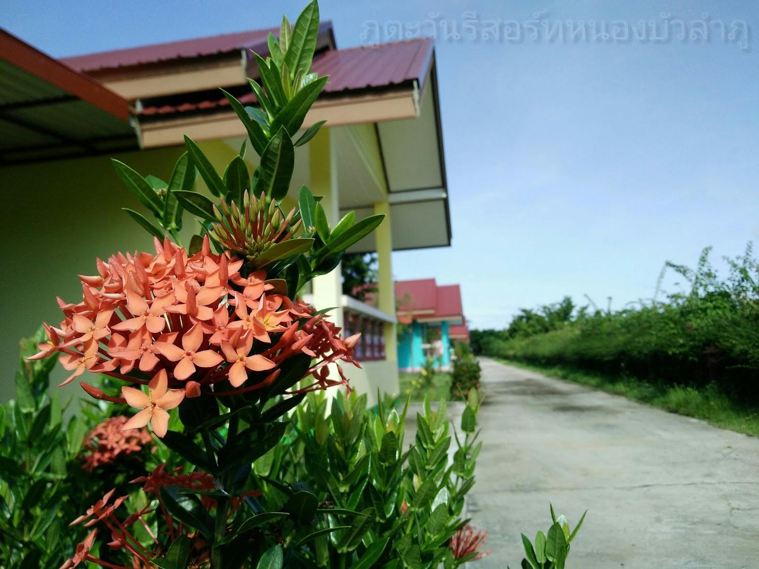Cover Image for Phutawan Resort-ภูตะวันรีสอร์ทหนองบัวลำภู