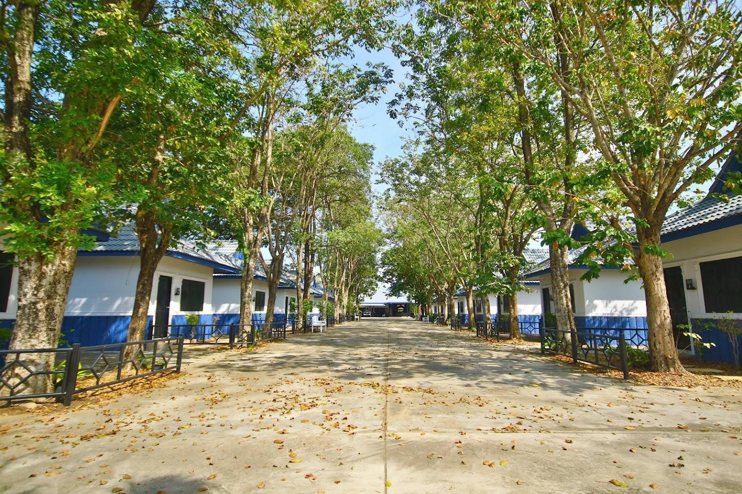 Cover Image for The Tree Resort
