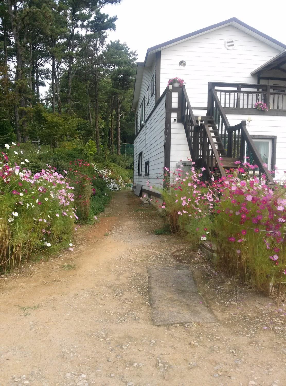 Cover Image for 별바라기펜션
