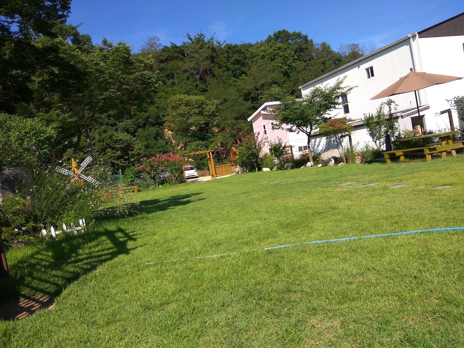 Cover Image for 데스티노