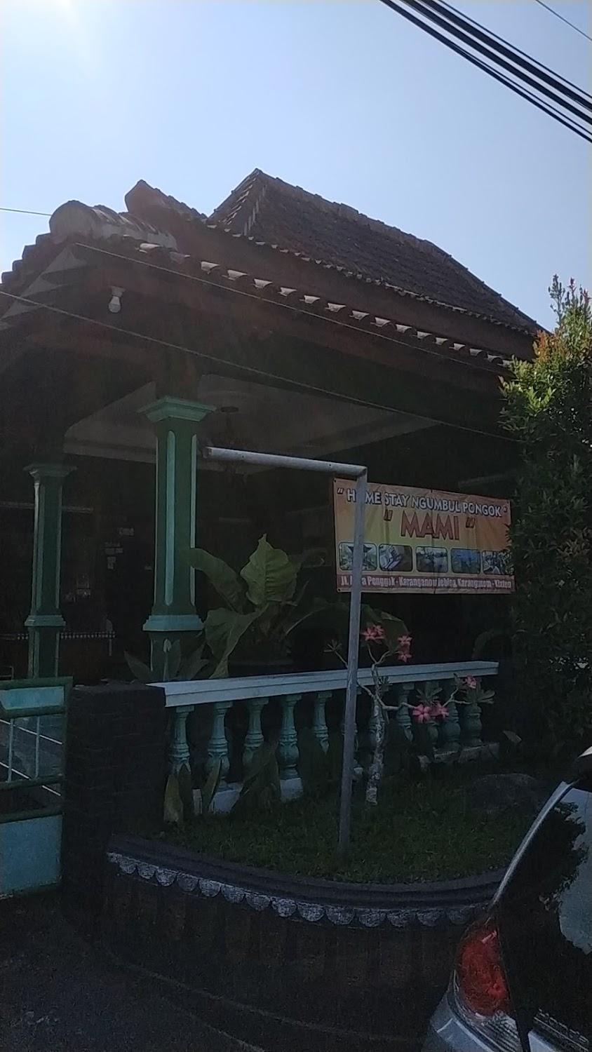 Cover Image for Mami Umbul Ponggok homestay