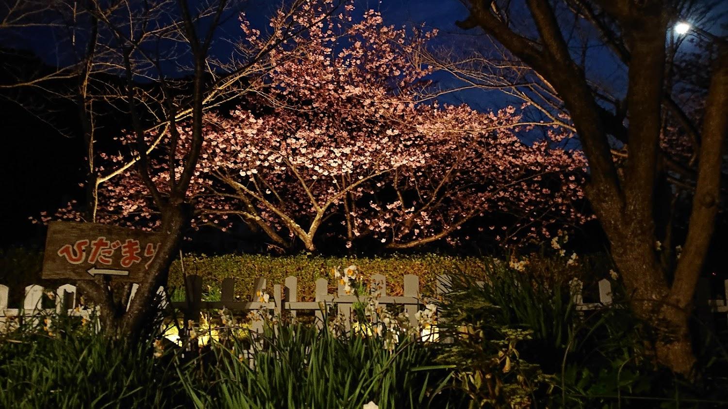 Cover Image for Pension Hidamari