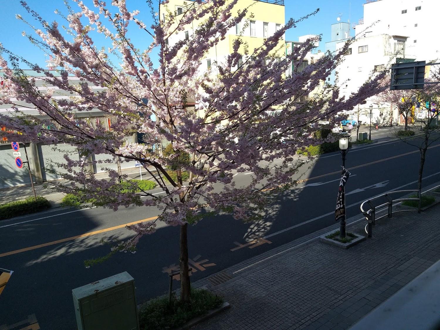 Cover Image for Ai-Hotel Oyama