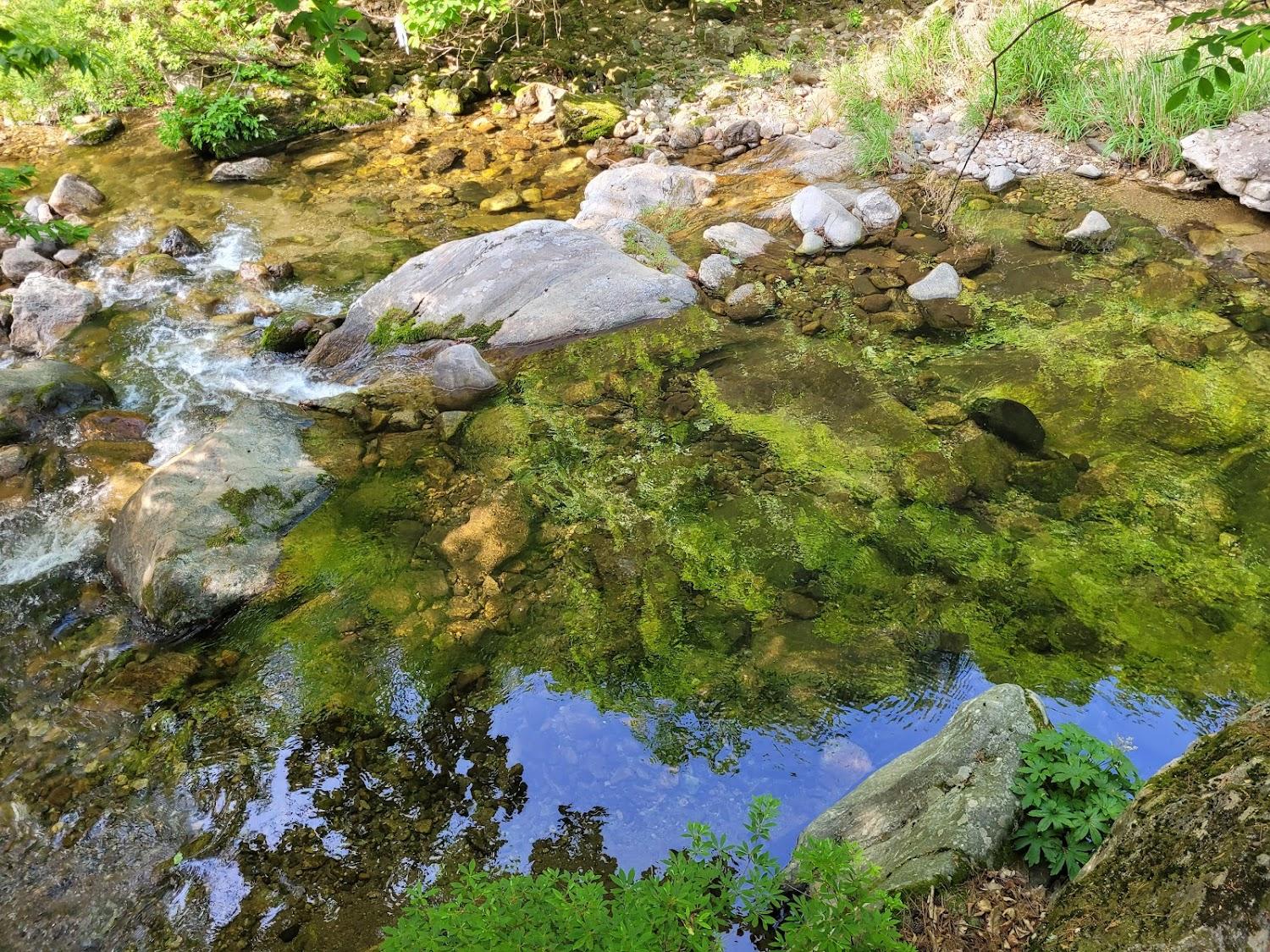 Cover Image for Jecheon Sopungganeunnal Pension