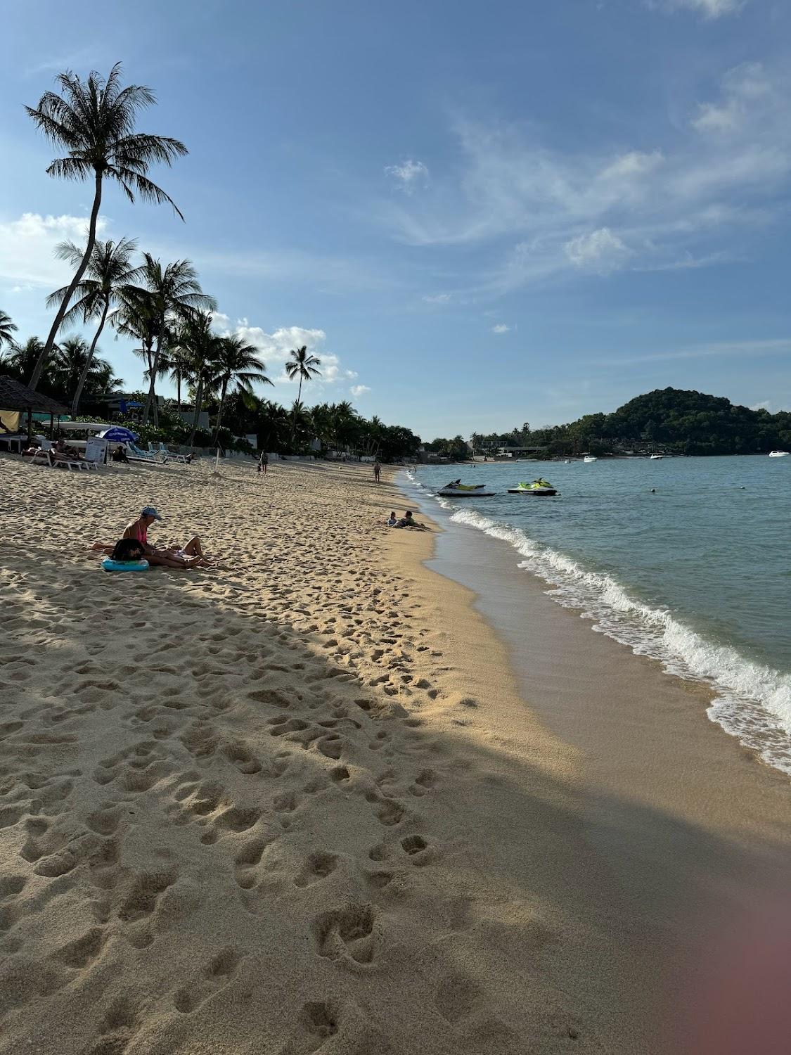 Cover Image for Avocado Samui Resort