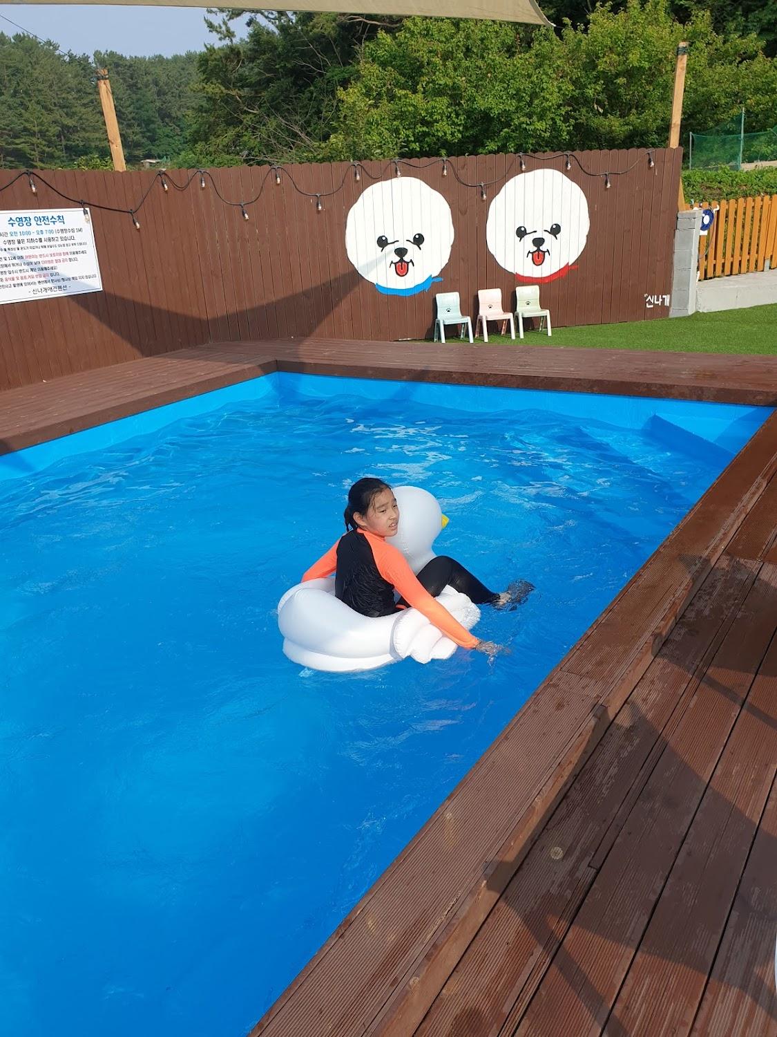 Cover Image for 신나개애견펜션