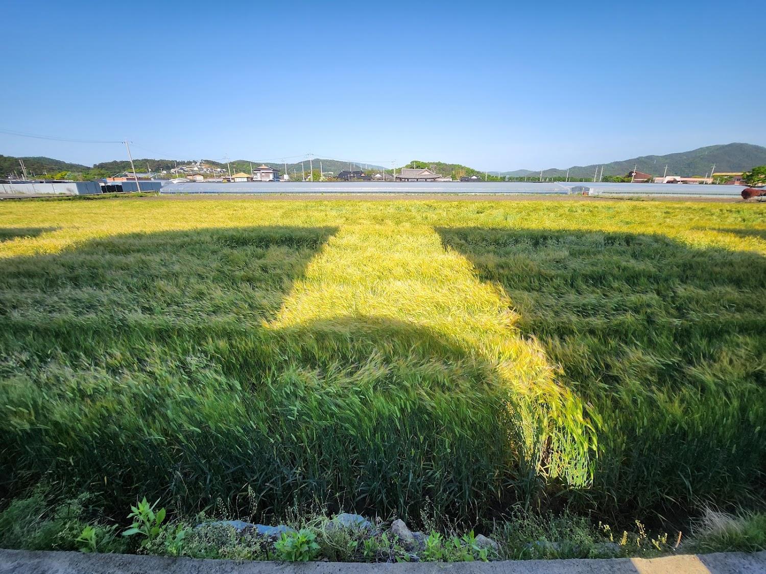 Cover Image for 순천만펜션