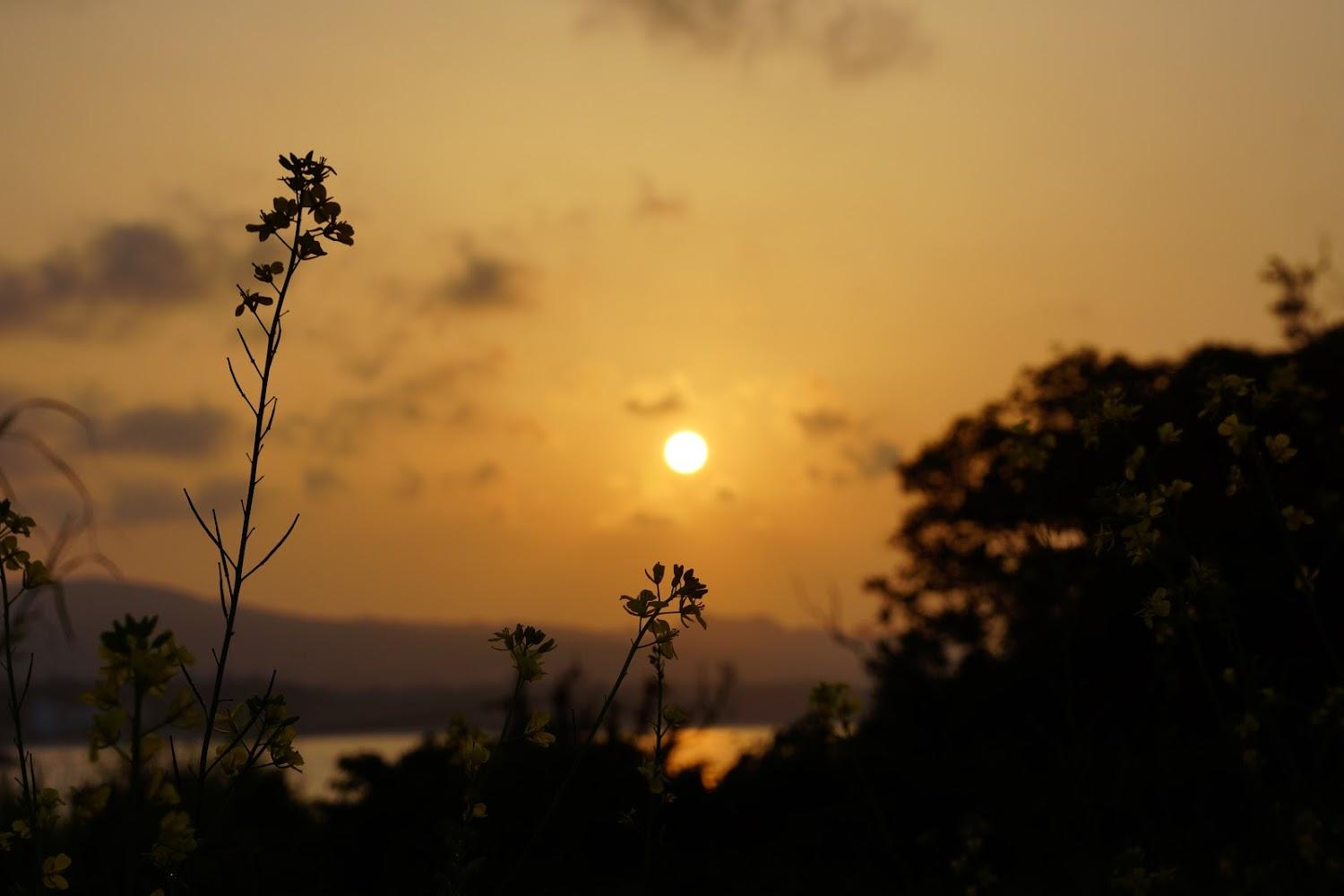 Cover Image for ResortVilla古宇利島 Aquablue