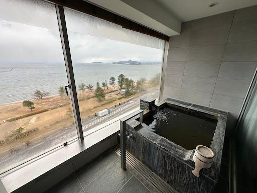 Cover Image for Lake Biwa Marriott Hotel