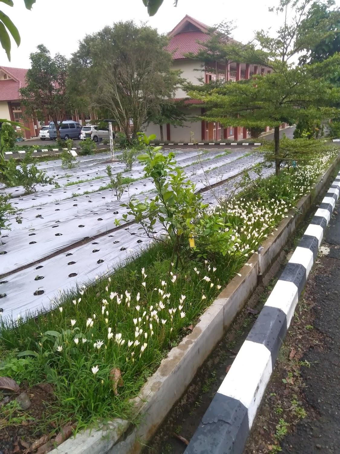 Cover Image for OYO 1667 Edotel Smkn 1 Pacet Syariah