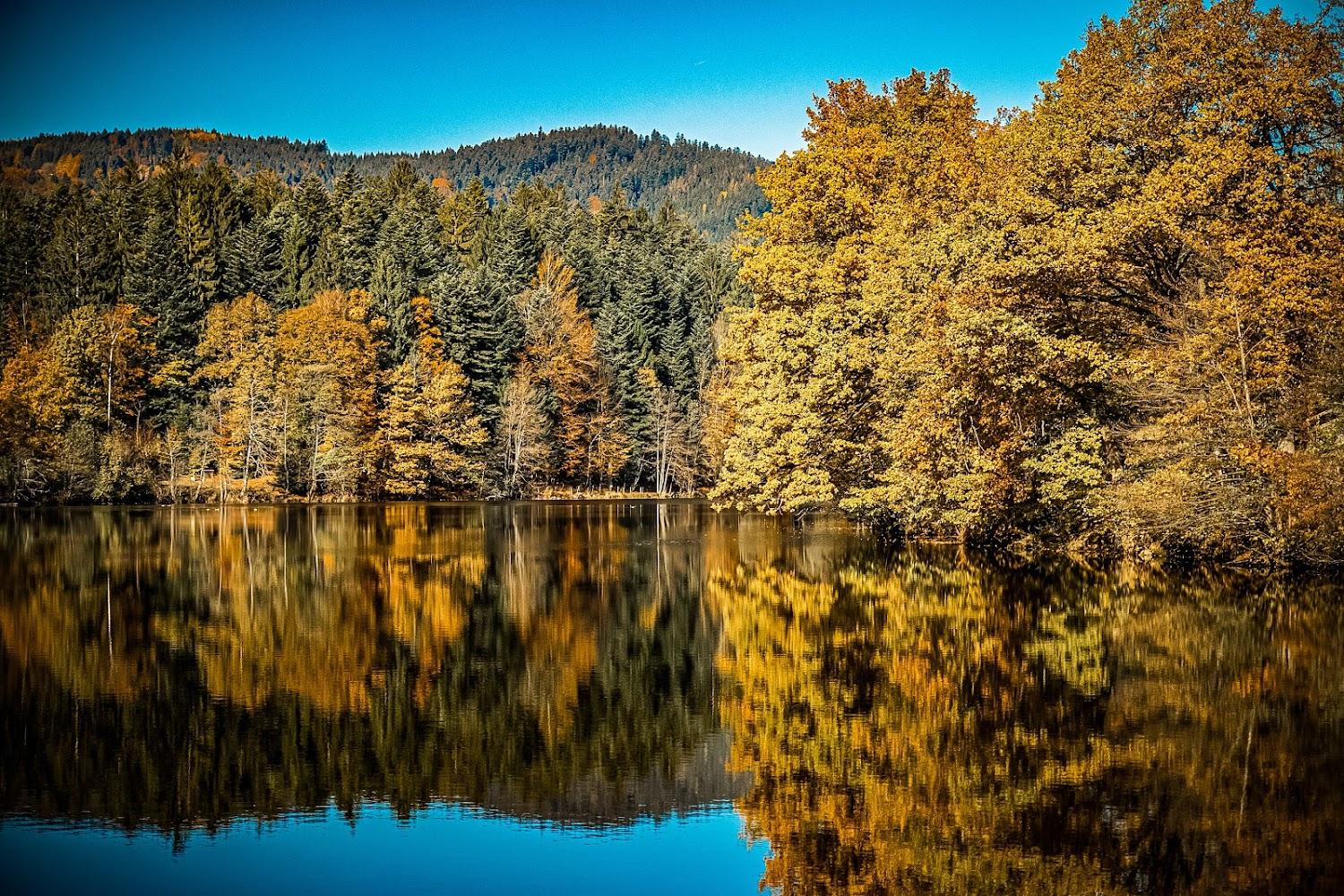 Cover Image for Hotel 'Der Seehof'