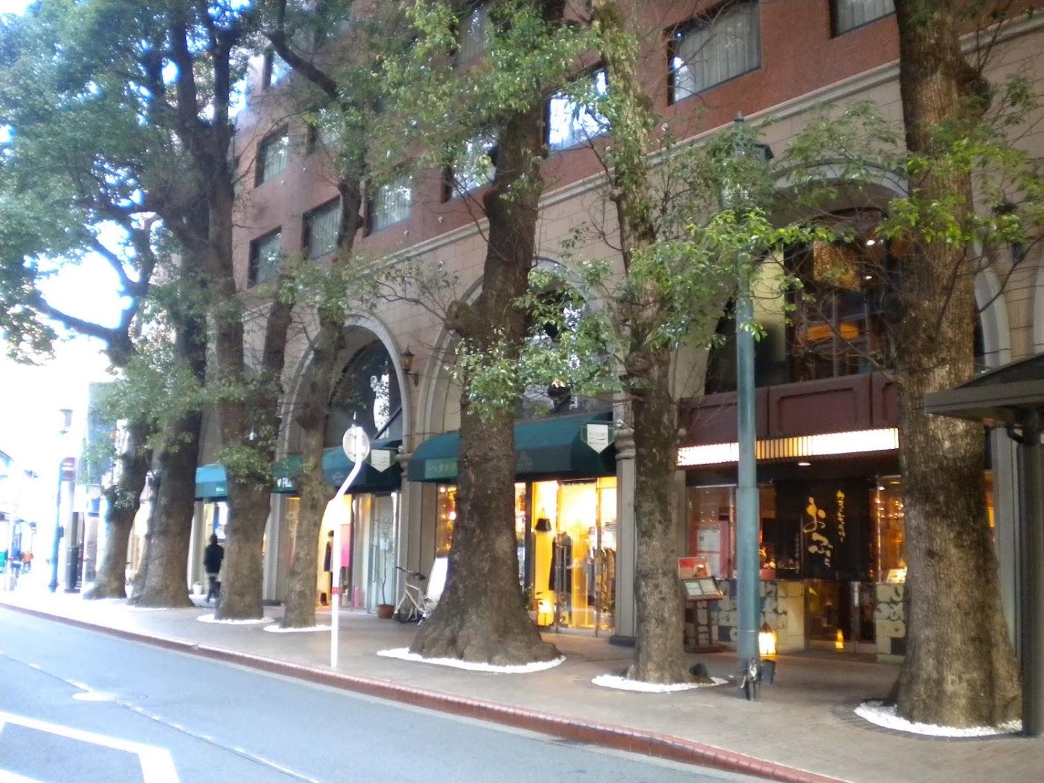 Cover Image for Hotel Okus