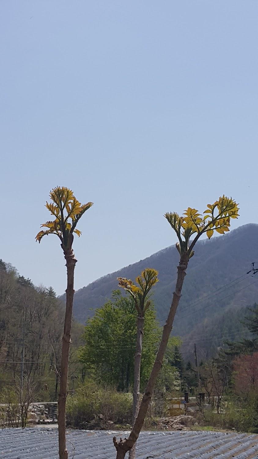 Cover Image for 개여울펜션